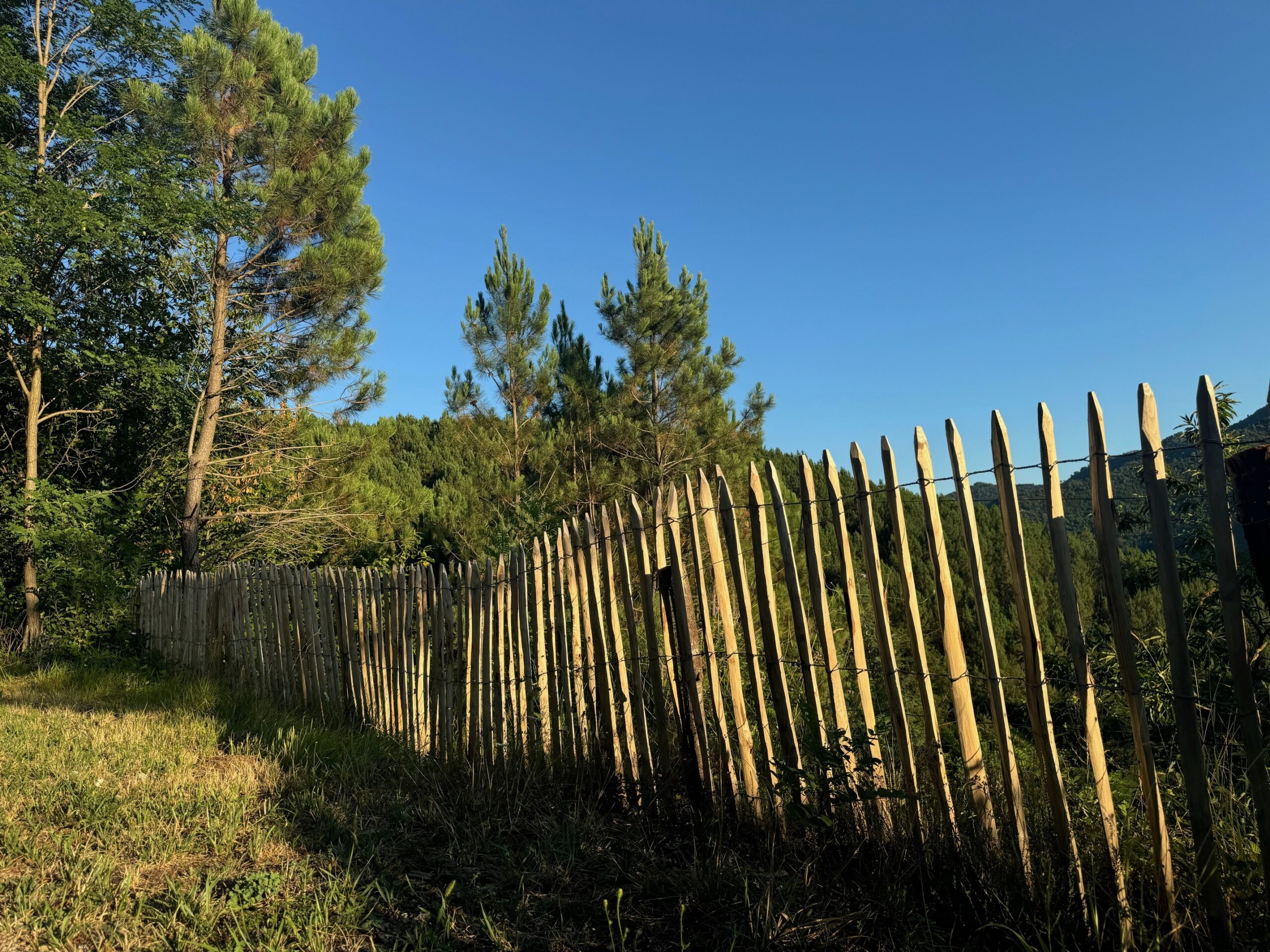 Traverses et Ganivelles