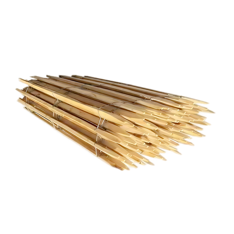 Ganivelle Châtaignier